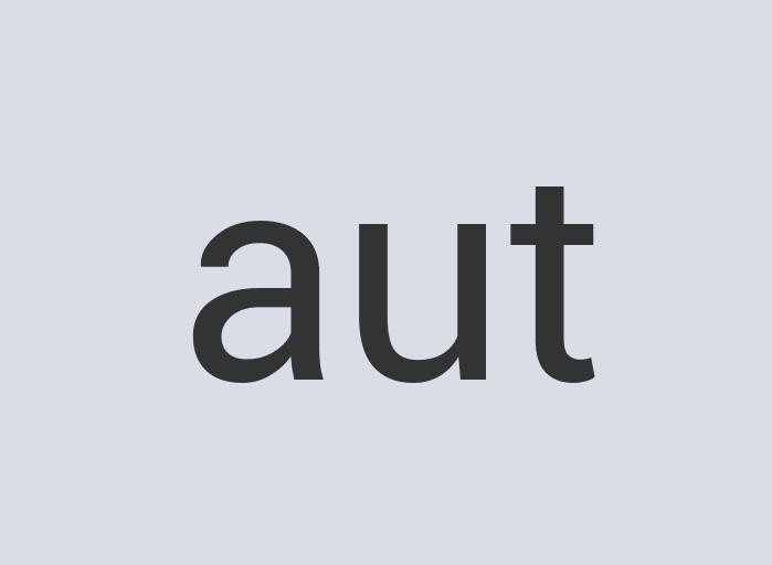 Enormous Paper BugSack