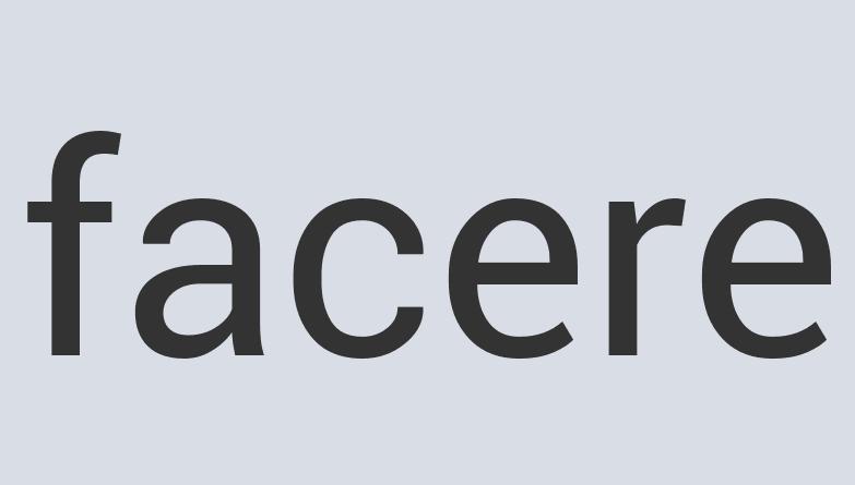 Aerodynamic Iron Hairpiece Shoewipe