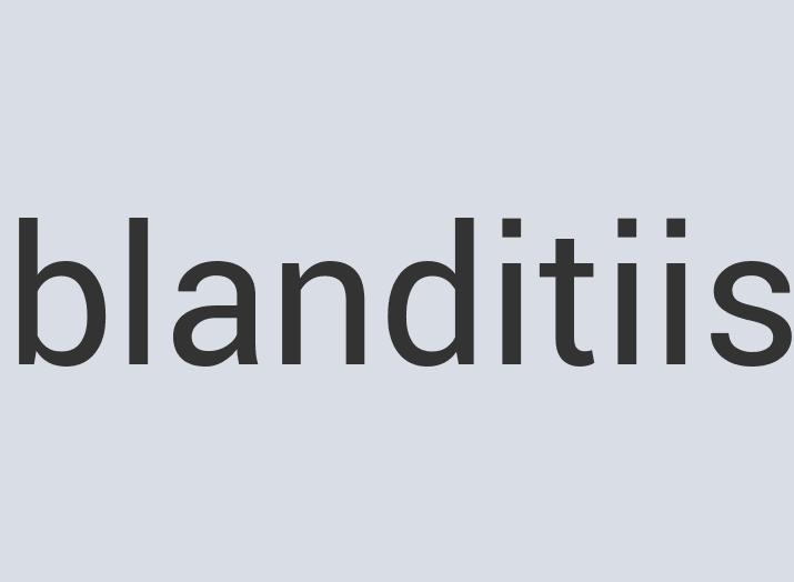 Lightweight Silk Ornamantis